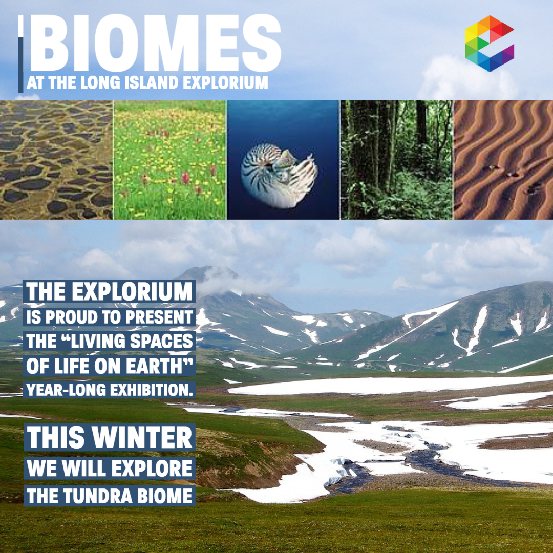 Biomes