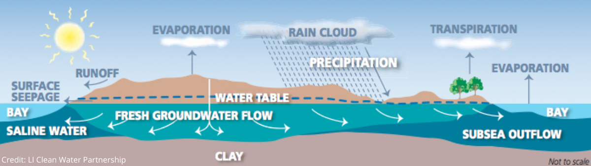 MANY Water Quality _ Water Cycle